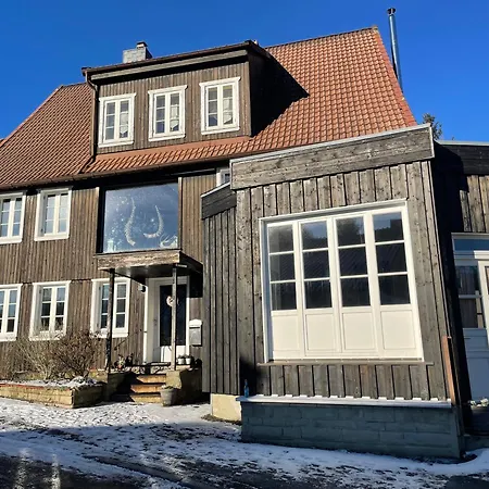 Koselige Nest - Perfekt Fuer Kleine Familien - Nah Am Bocksberg Lejlighed Goslar